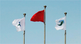 单月桂酸甘油酯