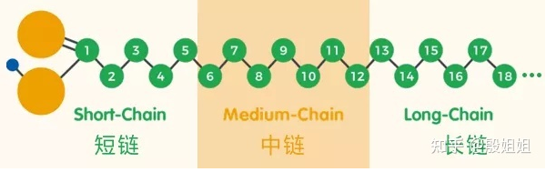 脂肪酸的“链长”